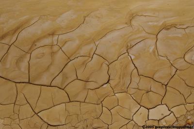 Negev cracked dry desert earth
