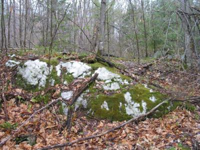 Granite with Moss