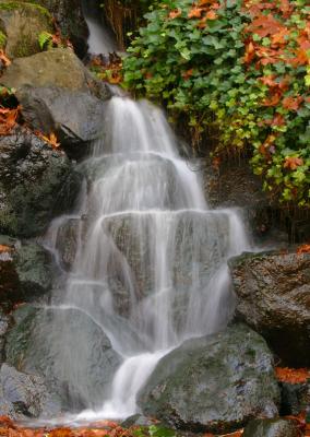 Fall at the Falls