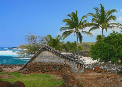 Lapakahi State Park #3