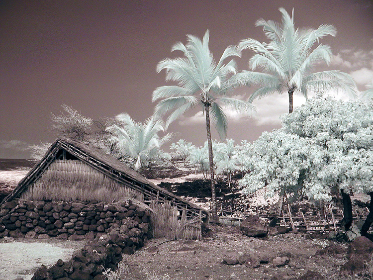 Lapakahi State Historical Park #3