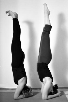 u49/vincebelford/medium/36606859.StephAndBonnie15.jpg