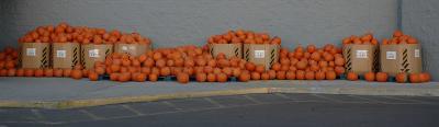 Halloween pumpkins at Chubbuck Wal-Mart DSC_0030.jpg