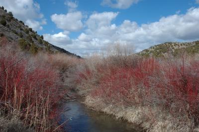 Cherry Springs smallfile DSC_3870.jpg