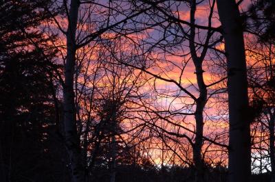 Sunset from the deck at home looking west DSC_3909.jpg