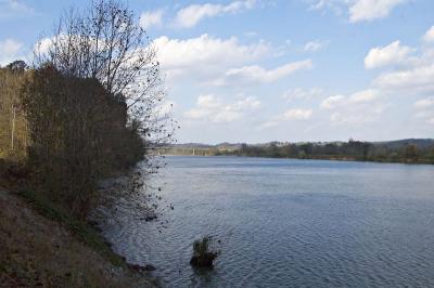 Cumberland River near Ashland City