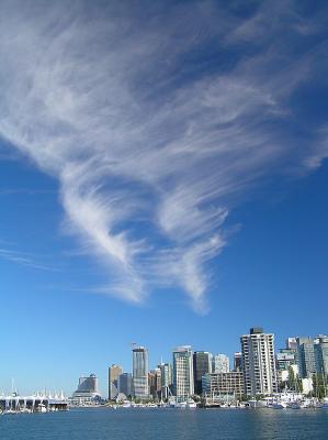 P8089775_std.jpg