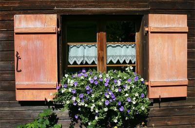 Blumenfenster