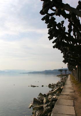 Rapperswil SG