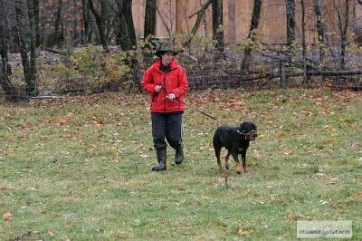 u49/wendybeard/medium/36097096.crw_8674_std.jpg
