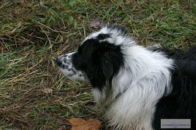 u49/wendybeard/medium/36097097.crw_8675_std.jpg