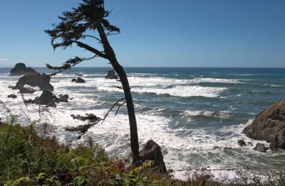 The magnificent Northern California Coast