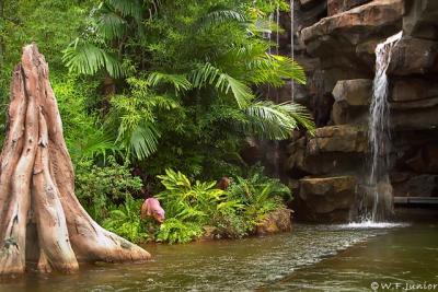 Jurassic Park River Adventure