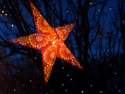 Star in a Shop Window