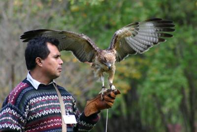 Hawk 72  00066 copy.jpg