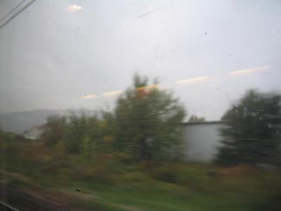 111_1181.JPG