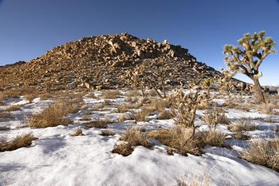 snowfield.jpg