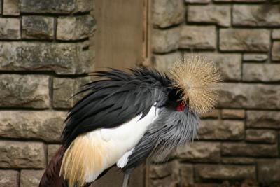 SA_Zoo_2004 047.jpg