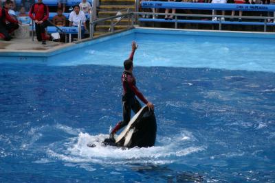 SeaWorld 014.jpg