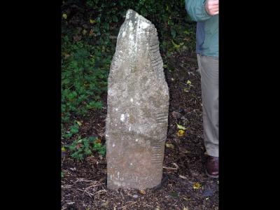 Ogham Stone - ancient writing stone