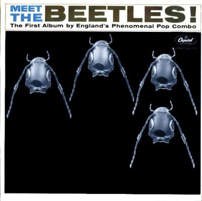 Meet The Beetles.jpg