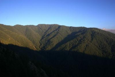 Folding hills, Timber Trail, Parwanoo, Himachal Pradesh