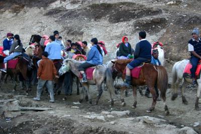 Horseback ride to the peak, Kufri Peak, Himachal Pradesh