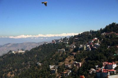 Soaring high, Himalayas from Shimla