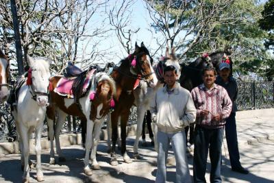 Horsemen, Shimla, Himachal Pradesh