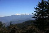 The breathtaking Choor Chandini Peak, Chail, Himachal Pradesh