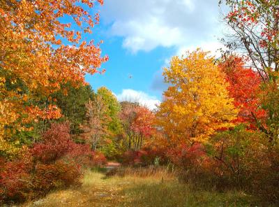 Harriman st pk NY-6.jpg