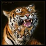 IMG_5495cw.jpg
