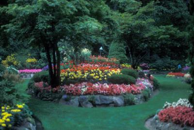 Butchart Gardens