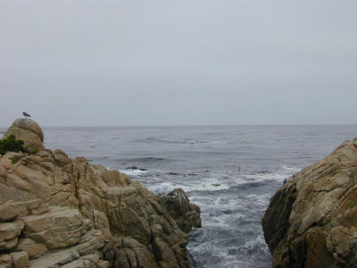 17 mile drive