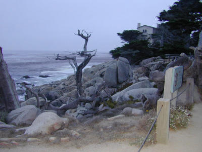 17mile drive