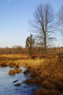 Lord Stirling Park