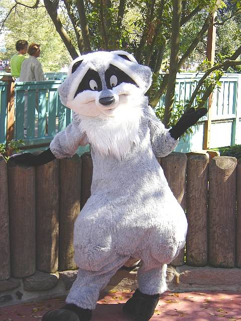 MKMeeko.jpg