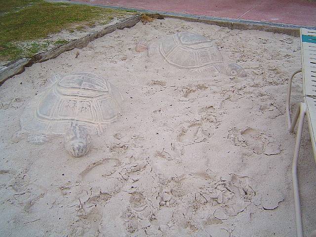 CarribeanBeachPool6.jpg