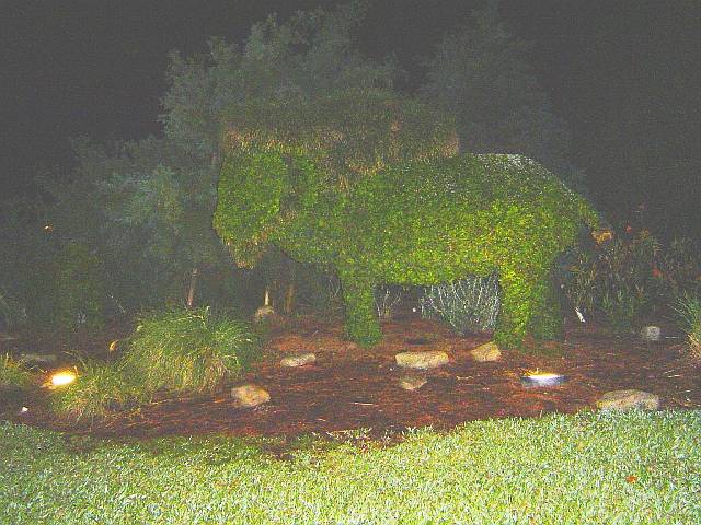WildernessTopiary.jpg