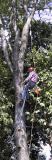 9/22/02, Dave putting up an antenna