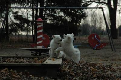 Dec2_04_051.JPG