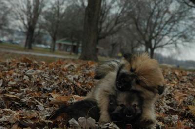 Dec2_04_131.JPG