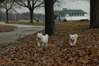 Dec2_04_390.JPG