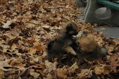 Dec4_04_068.JPG