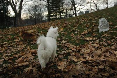 Dec4_04_085.JPG