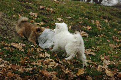 Dec4_04_108.JPG