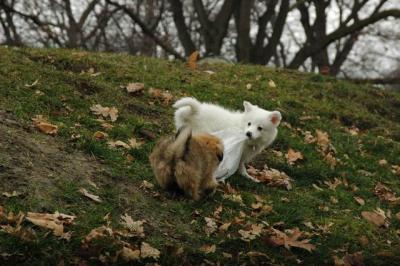 Dec4_04_115.JPG