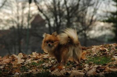 Dec4_04_158.JPG