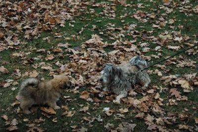 Dec4_04_258.JPG