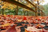 Fall 2004